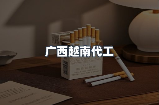 广西越南代工